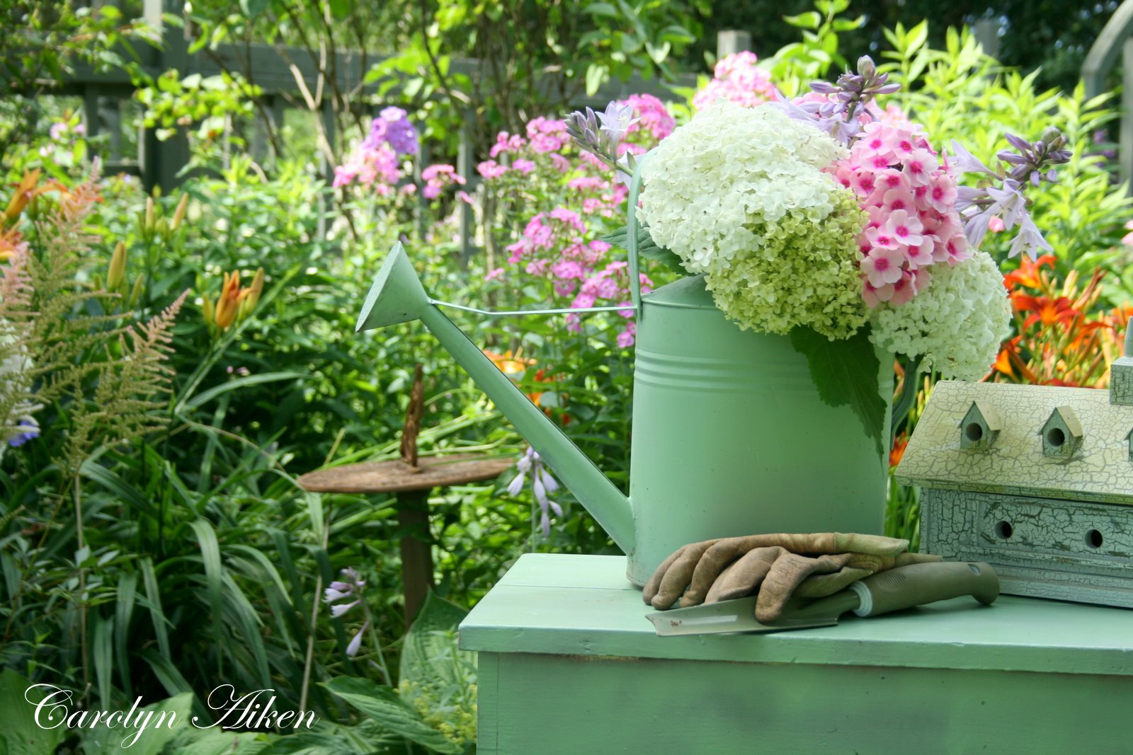 Aiken House & Gardens Garden Close Ups