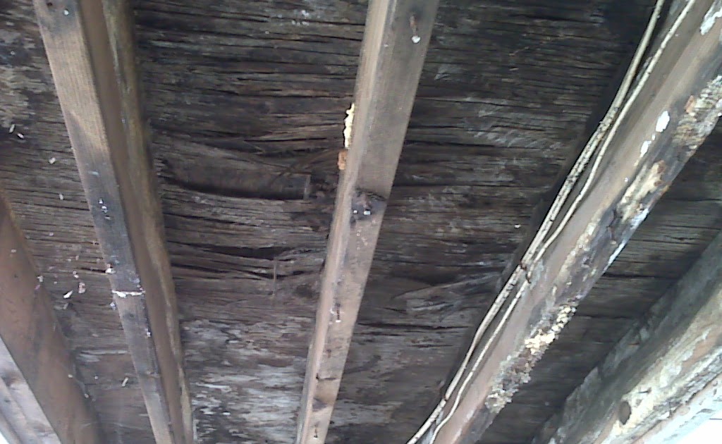 Dry Rot and Water Damage Repairs, Restoration