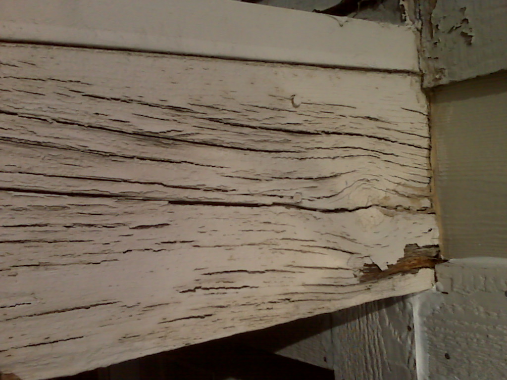 Dry Rot and Water Damage Repairs, Restoration