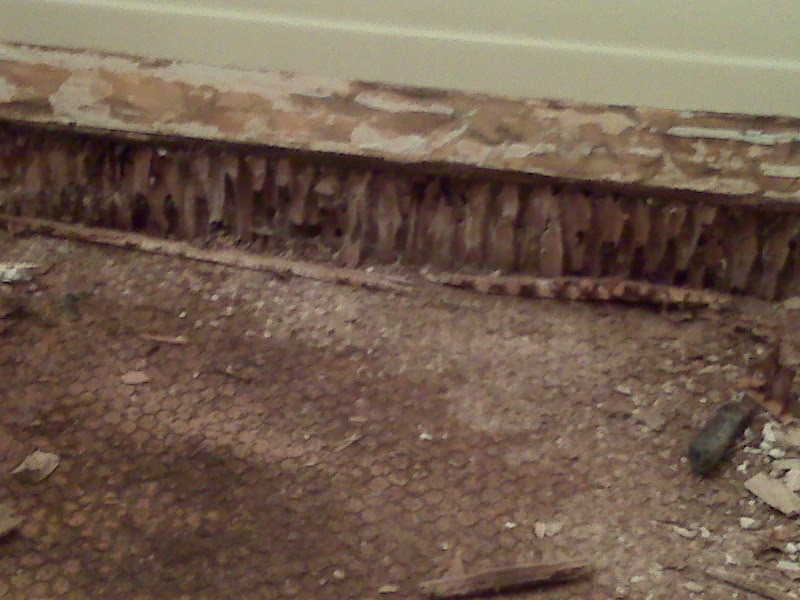 Dry Rot and Water Damage Repairs, Restoration