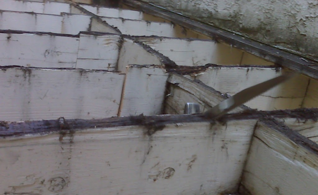 Dry Rot and Water Damage Repairs, Restoration