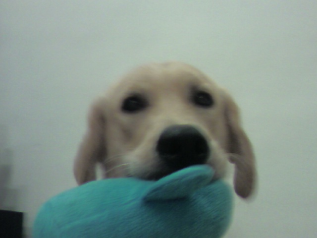 [Photo0064.jpg]