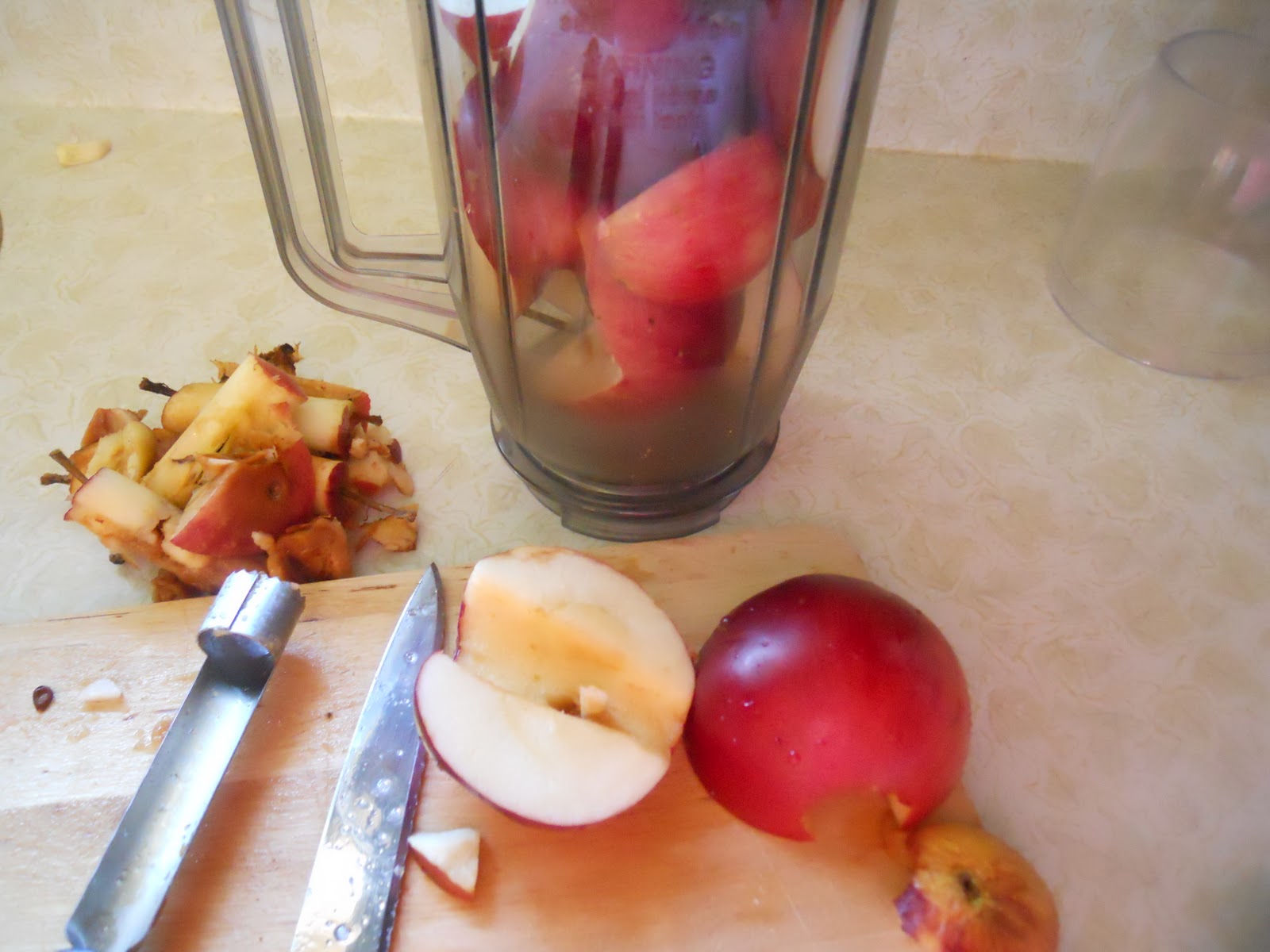 Jesse's Kitchen Apple Cranberry Fruit Leather