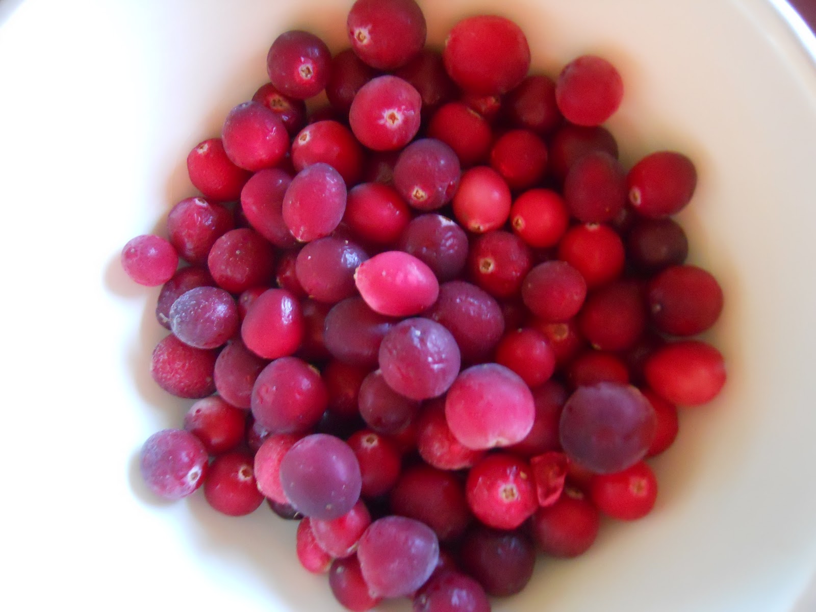 Jesse's Kitchen Apple Cranberry Fruit Leather