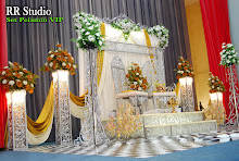 set pelamin vip