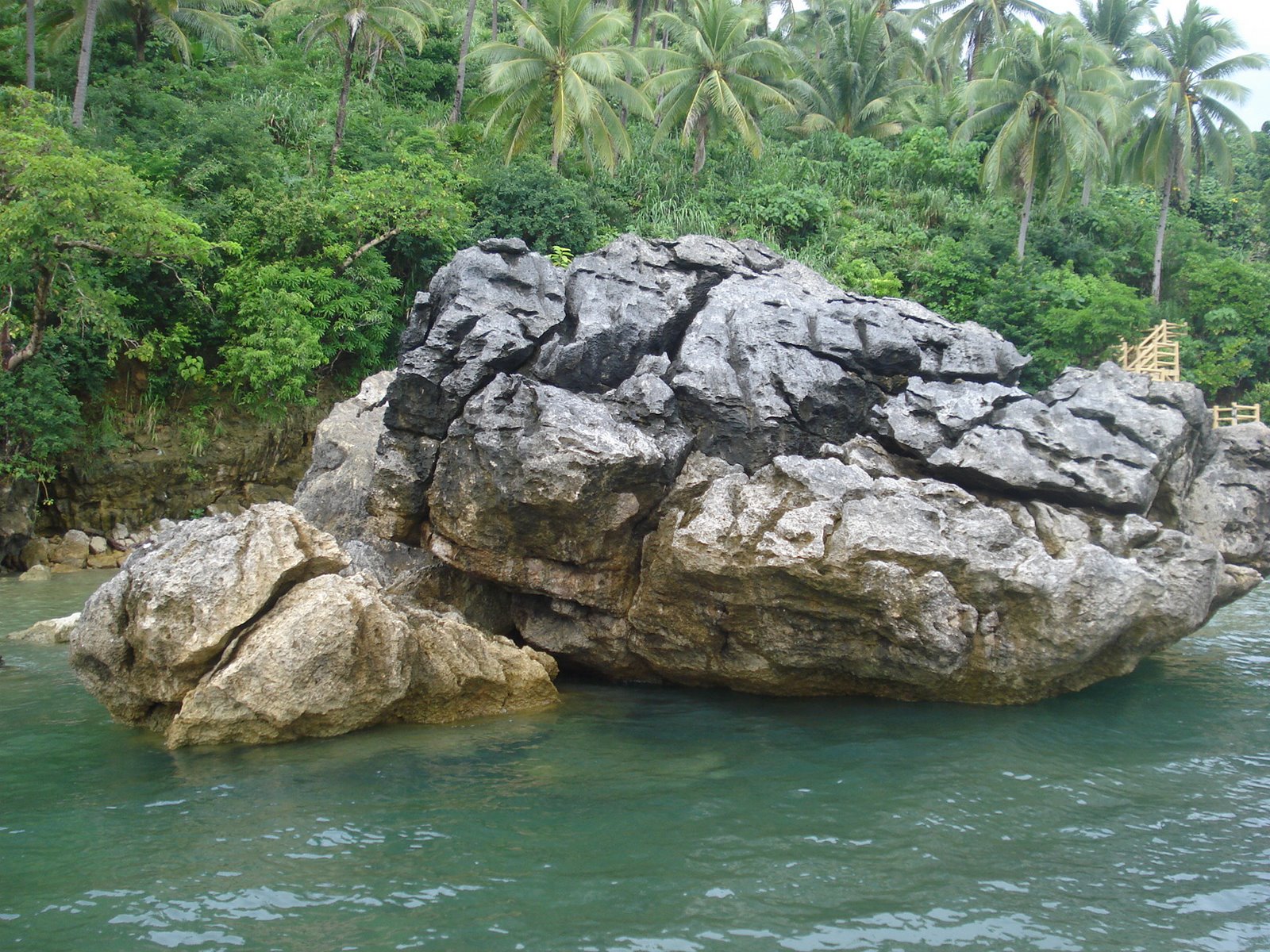 [DSC03201.JPG]
