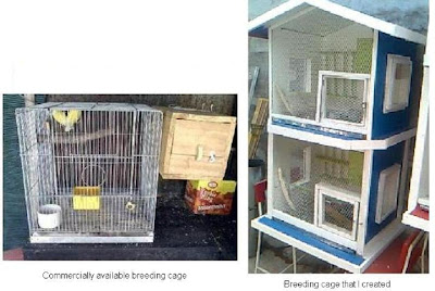bird cage for sale cartimar