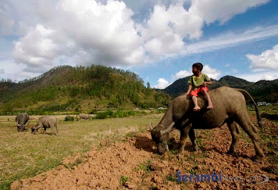 Lut Tawar Aceh Tengah Tetap Tenang Gambar Jumaat September Lut Tawar Aceh Tengah Tetap Tenang Gambar Jumaat September