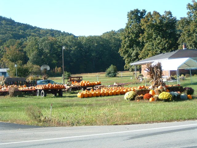 [DSCF0352.JPG]