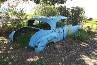 Recycled Old car planter