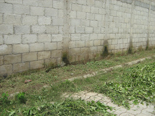 Foto 0 en  - CHAPEADO Y LIMPIEZA DE CALLES