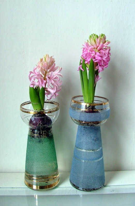 Kaylovesvintage hyacinth vases