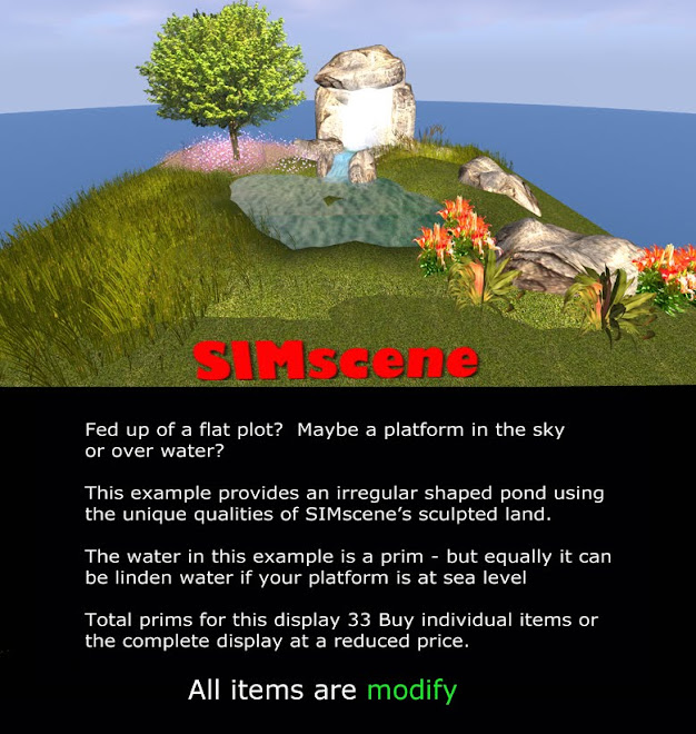 SIMscene Example