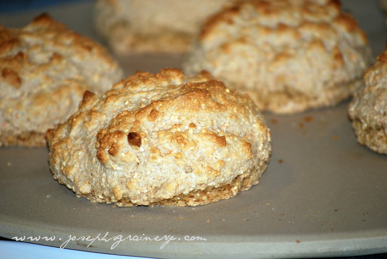 Joseph's Grainery Strawberry Shortcakes With Whole Wheat Biscuits Just In Time For Labor Day