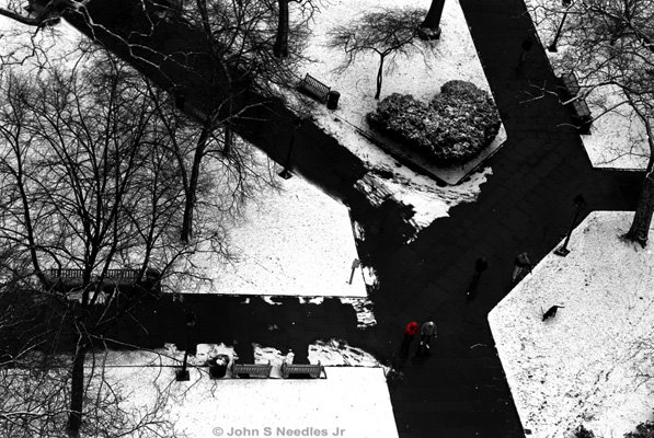 23_PHOTOJOURNALISM_ Washington Square in the snow