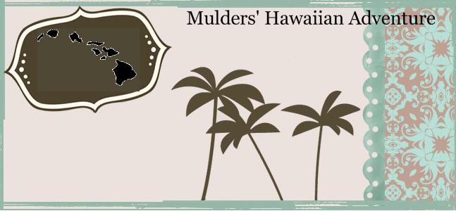 The Mulders' Hawaiian Adventure