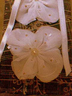[Imag072.jpg]