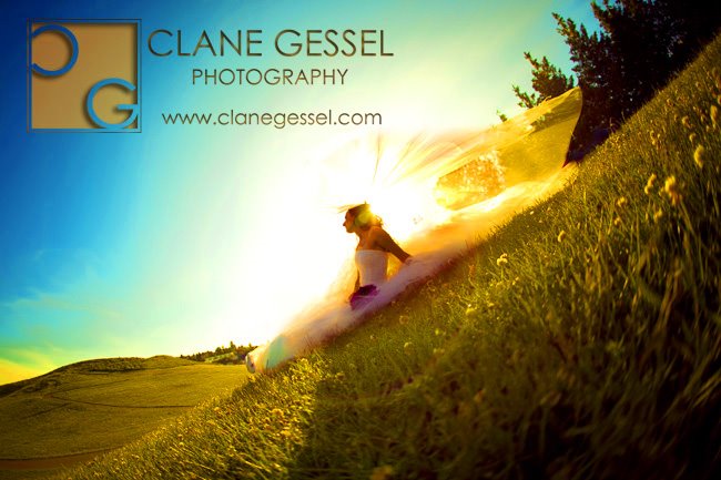Award-Winning Seattle Wedding photographer. Seattle wedding photographers