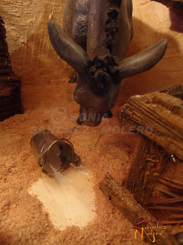 Nacimiento Crivi 013