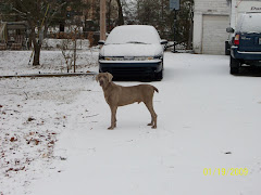 Snow Fun