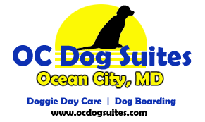 OC Dog Suites