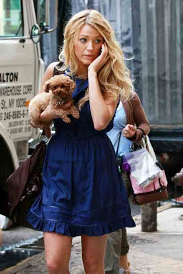 Blake Livelys  on Blake Lively And Penny The Maltipoo