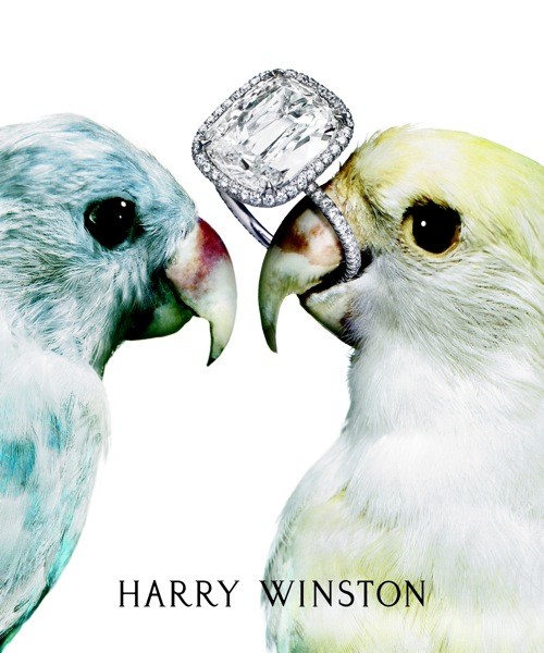 Harry Winston Ring Box Harry Winston Ring Box