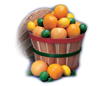 [citrus+basket.jpg]
