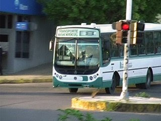 colectivos