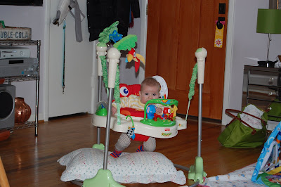 under the sea jumperoo