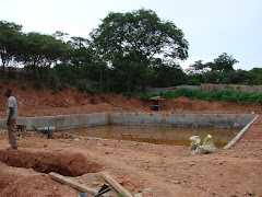 The Swimming Pool, Feb 2009