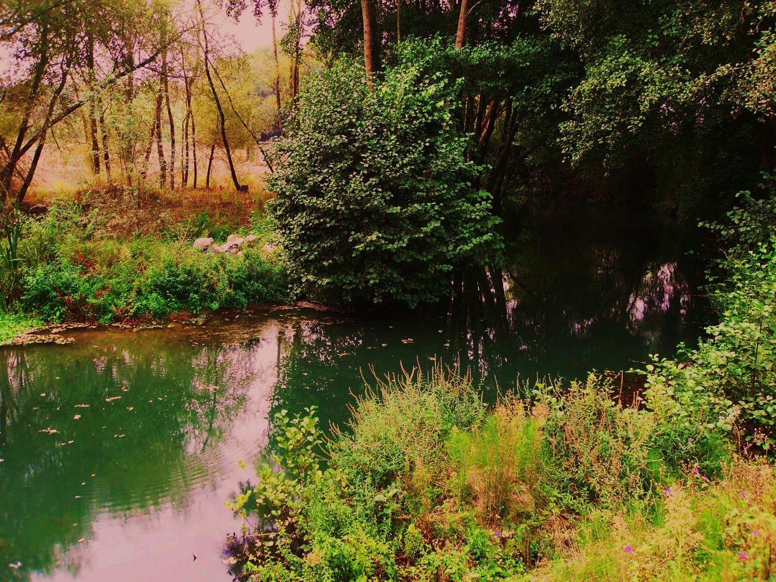 [SDC10001+-+Cópia.JPG]