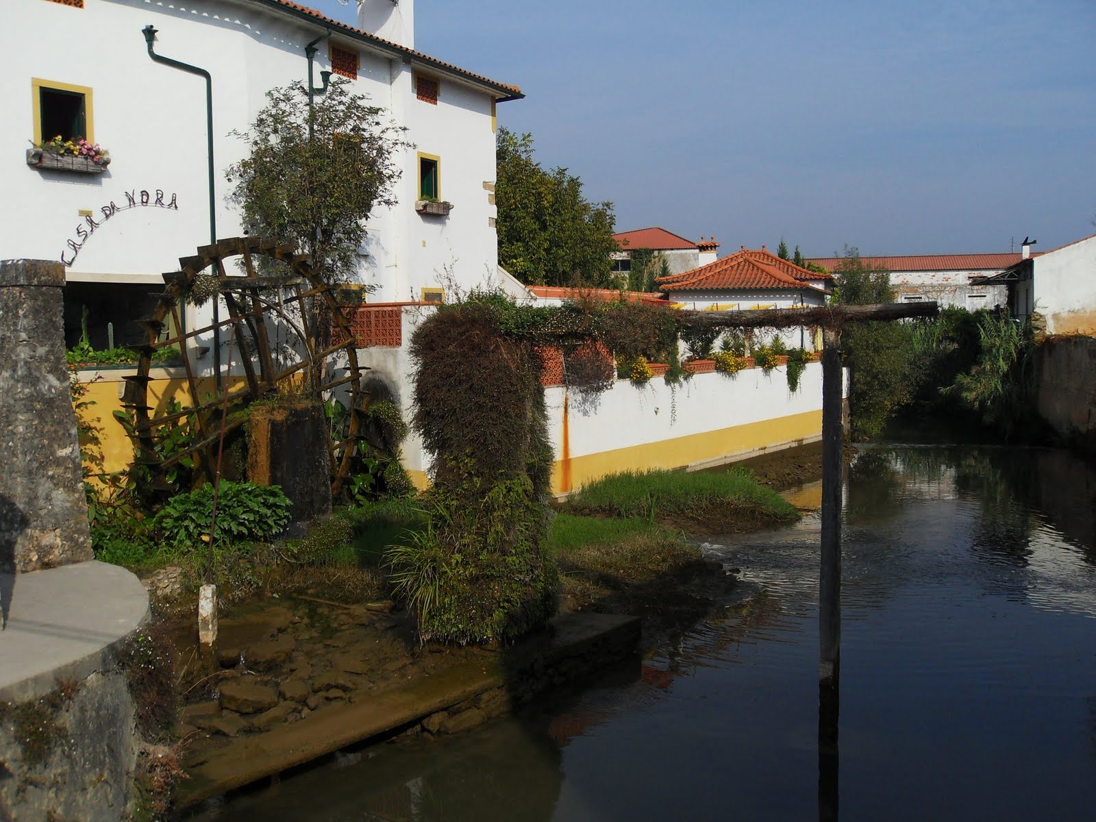 [SDC10014+-+Cópia.JPG]