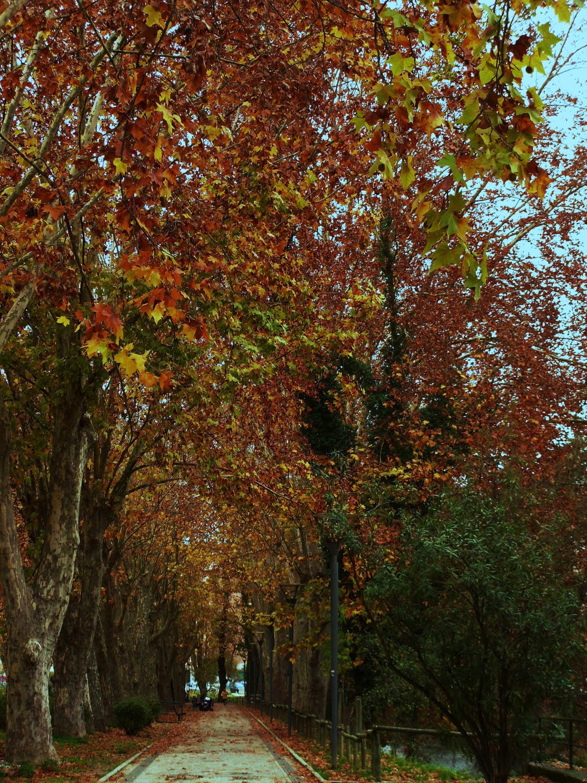 [SDC10493.JPG]