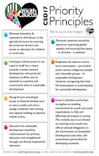 Youth Caucus Priority Points UN CSD 17