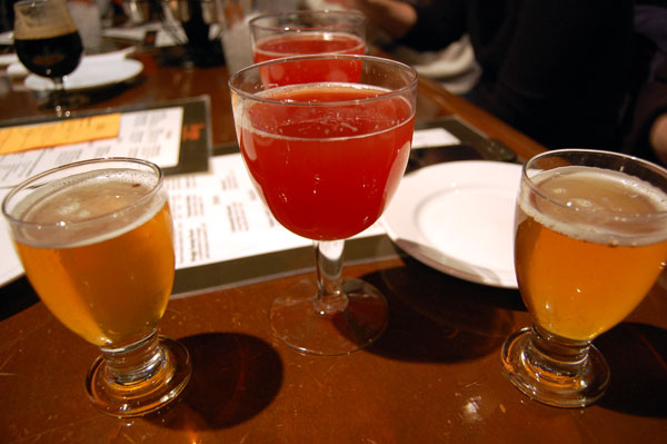Prickly+dogfish+shark
