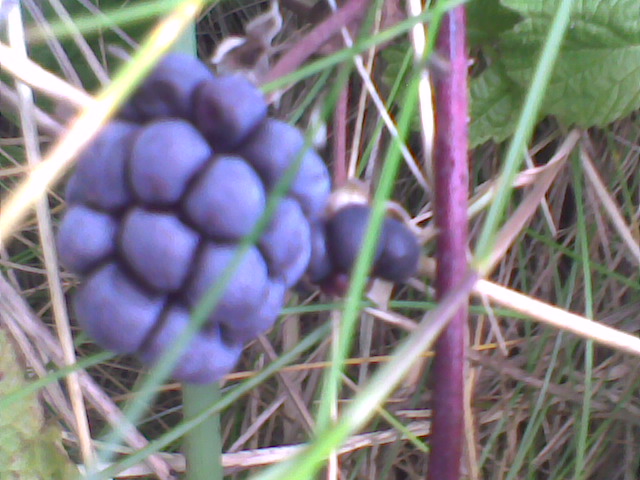 [Image016.jpg]