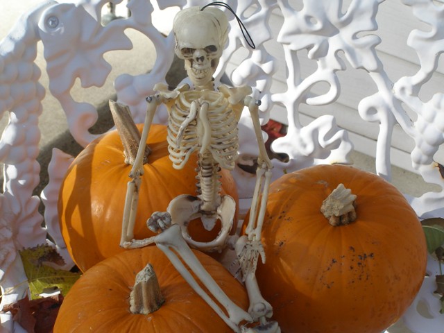 [skeleton2.JPG]