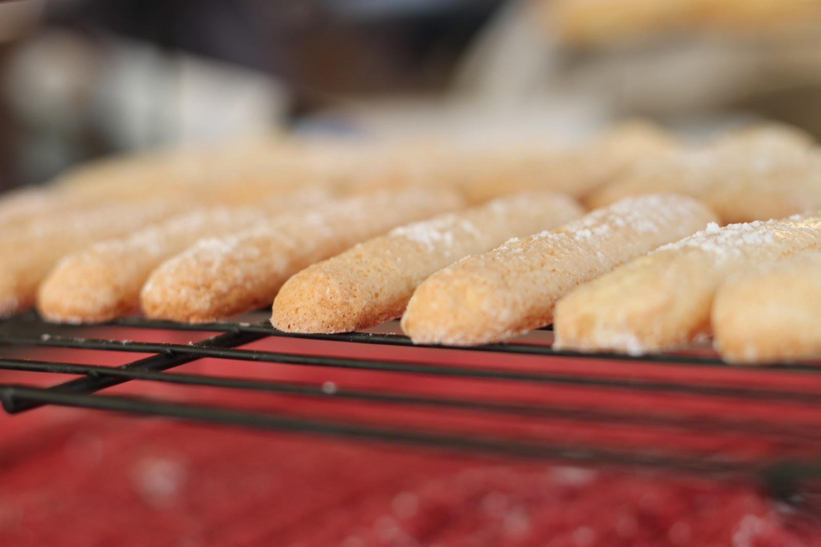 The Cilantropist Homemade Ladyfingers, and a Pomegranate Charlotte