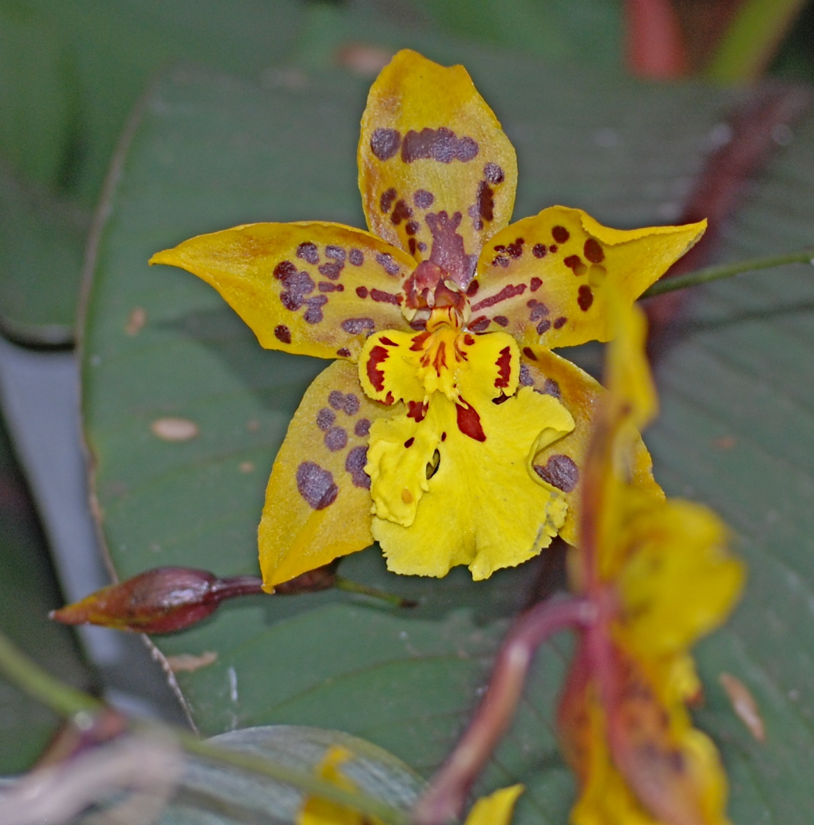 [DSC_5743.JPG]