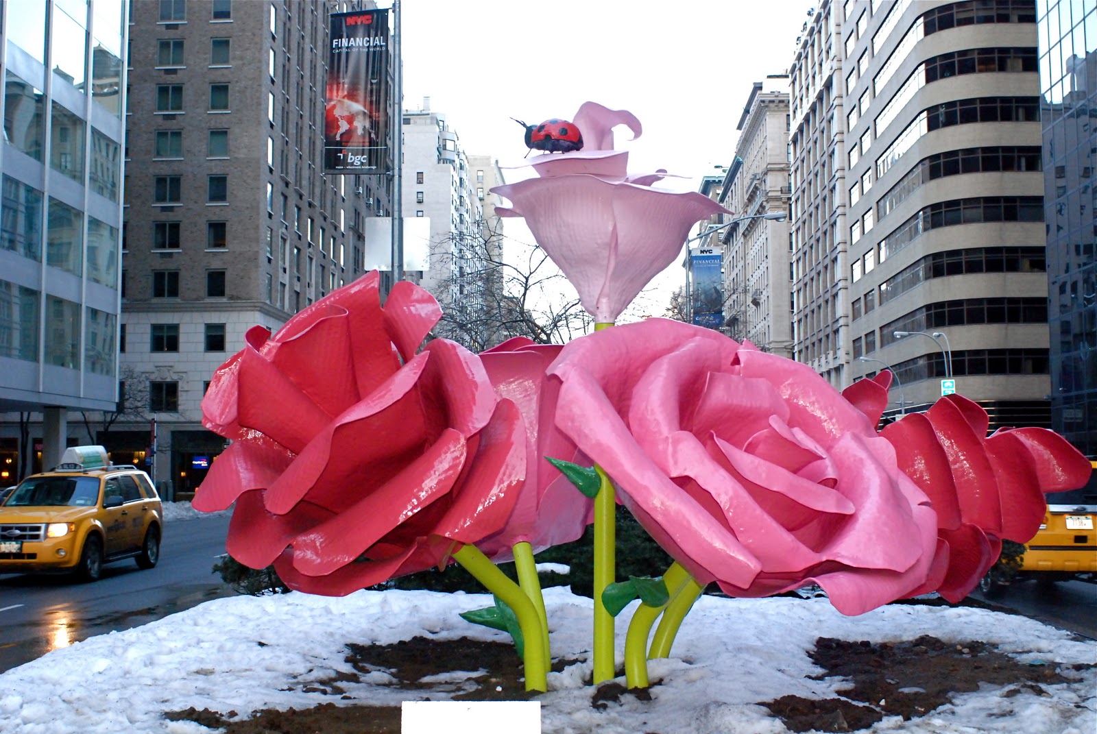 NYC ♥ NYC Will Ryman's THE ROSES In Full Bloom On Wintery Park Avenue
