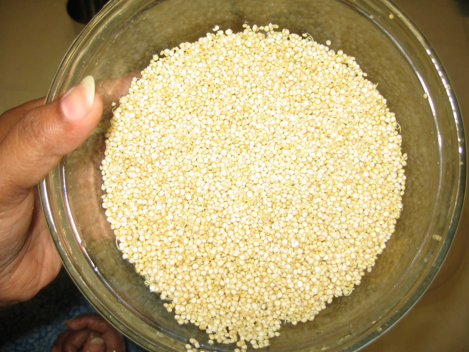 SUMADHURA Quinoa IdliA Very Healthy Steamed Cake/Quinoa Uthappam