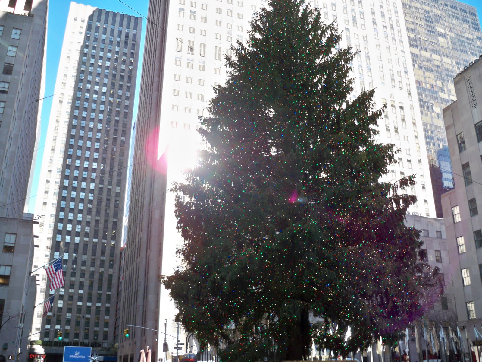 [ThegameLord.com_rockefeller_tree_100_8264.JPG]
