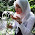 butterflyana butterflyana