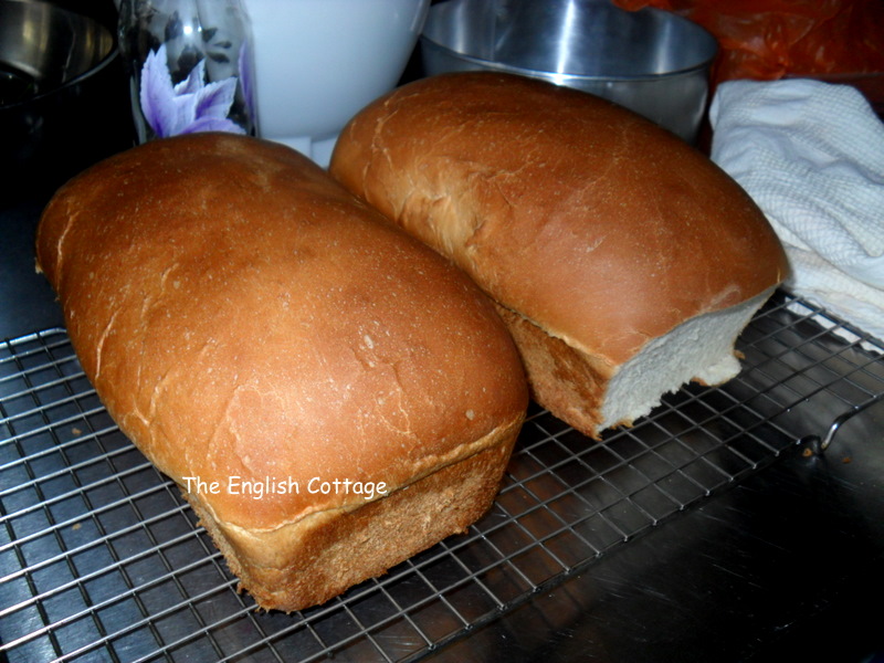 Bread, fish, siew yoke!