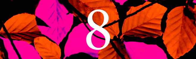 Project 8 Creative