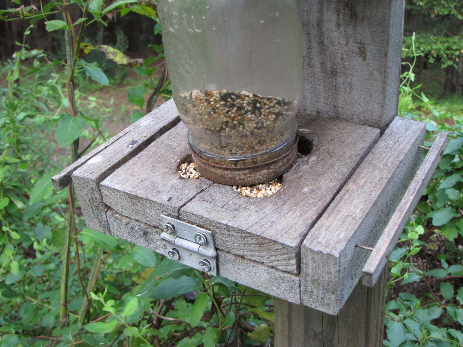 JeanLiving Simple A Closer Look At My Mason Jar Bird Feeder