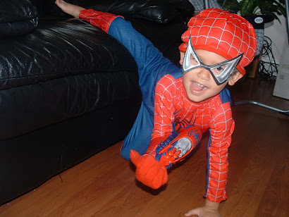 The Real Spider Man
