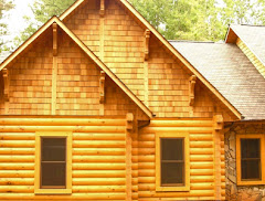 Arts & Crafts Log Home