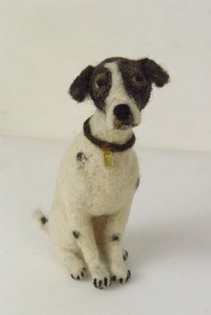 Domenica More Gordon Dogs For Sale Domenica More Gordon Dogs For Sale